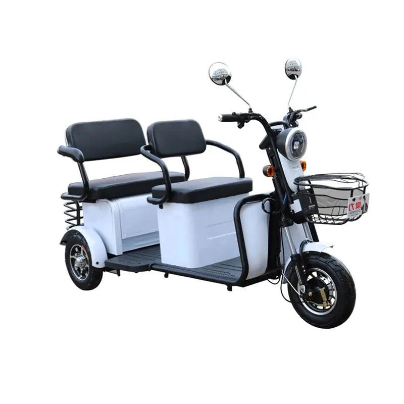 Pushpak 4000 2-Person Electric Trike Scooter