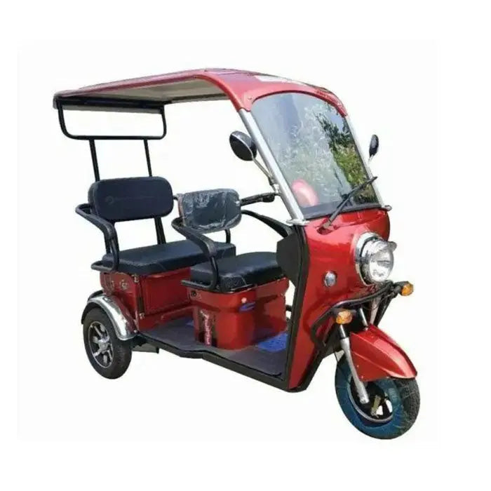 Pushpak 5000 2-Person Electric Trike Scooter