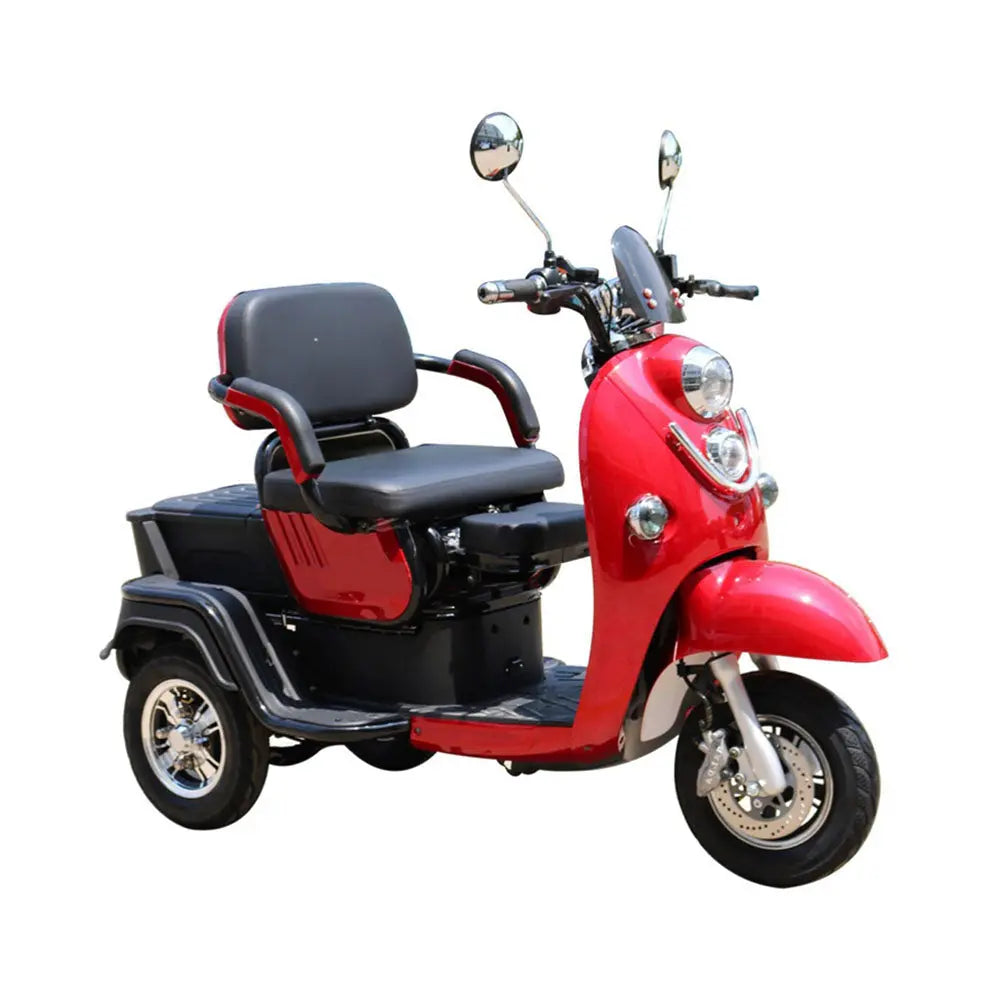 Pushpak 1000 2-Person Electric Trike Scooter