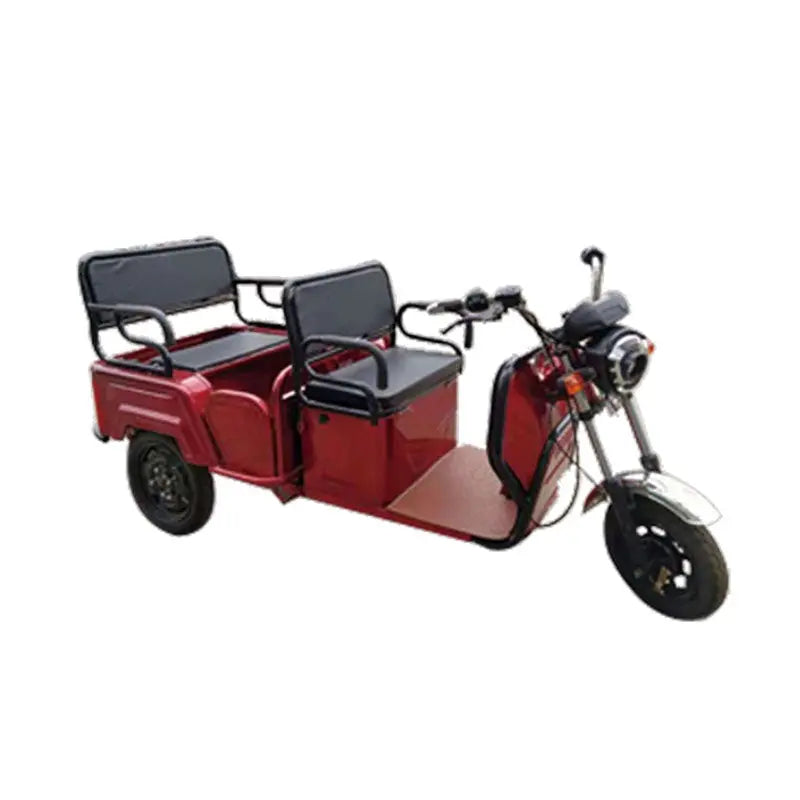 Pushpak 6000 2-Person Electric Trike Scooter