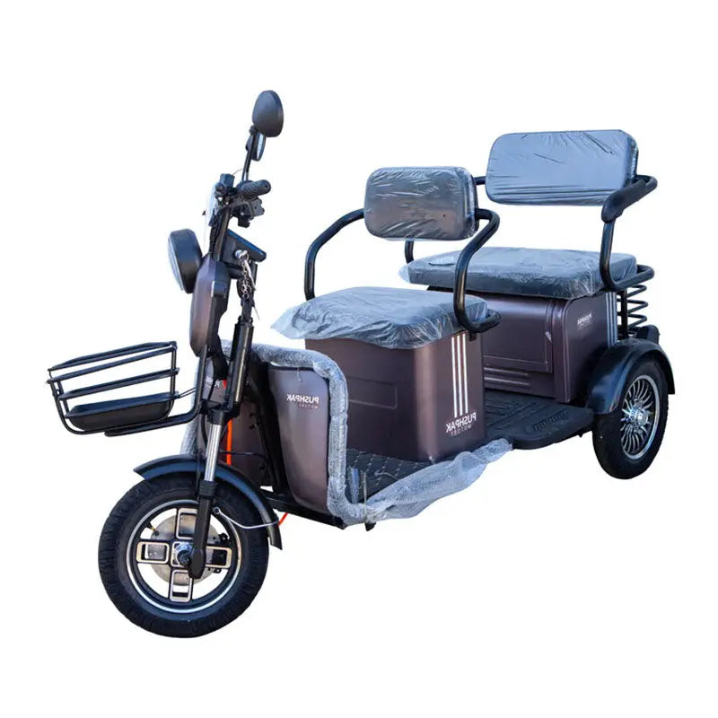 Pushpak 4000 2-Person Electric Trike Scooter